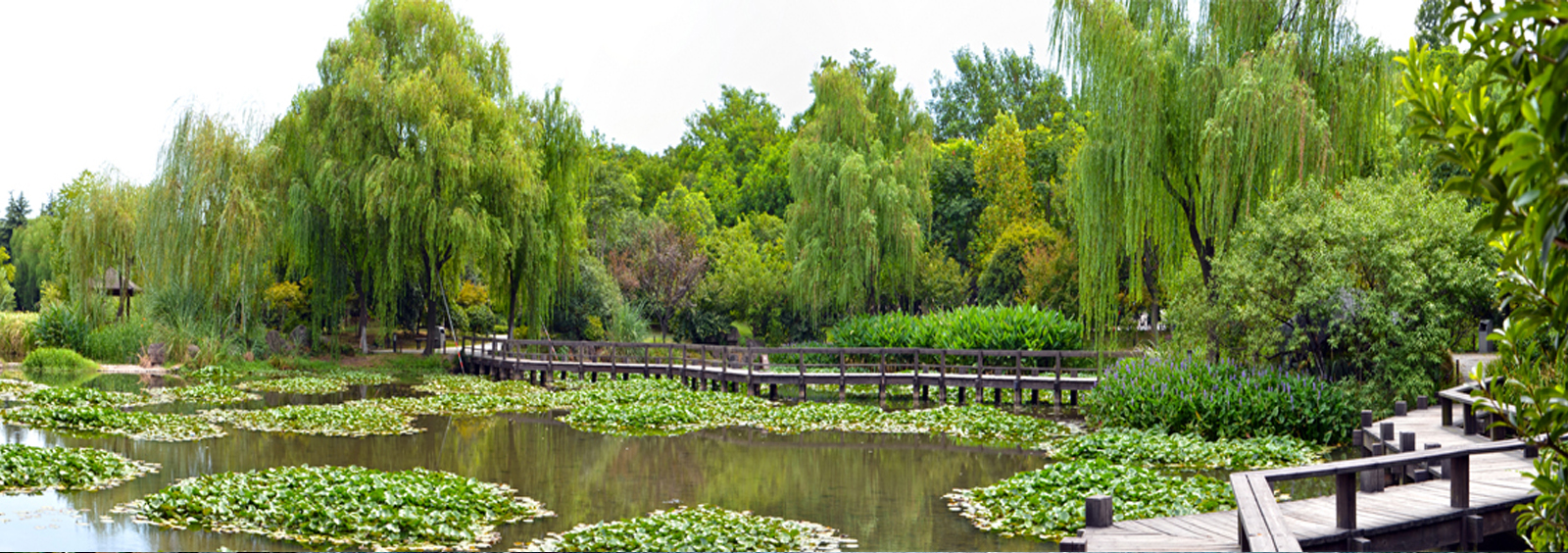 url(http://rcfu.cn/theme/TP000163/pic/banner4.jpg)